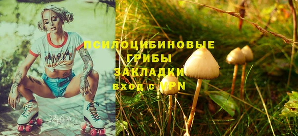 шишки Касимов