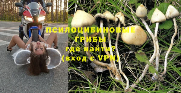 сатива Карталы