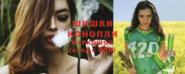 шишки Касимов