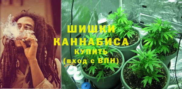 шишки Касимов
