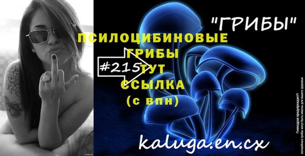 сатива Карталы