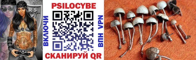 Купить  Луза  Псилоцибиновые грибы мухоморы 